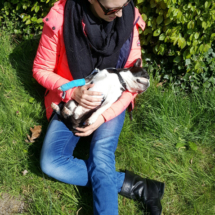 Louwie-2
