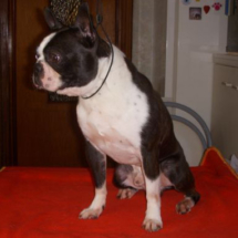 Xamigo