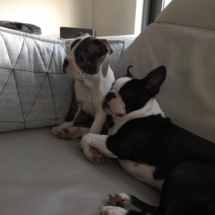 Randy-Zora(14.6.)Ranger-Bruno(Sept)-3