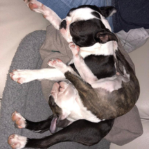 Randy-Zora(14.6.)Ranger-Bruno(Sept)-4