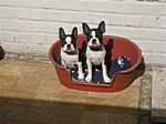 Kailo & Kizsazsa