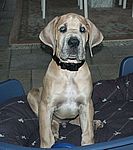 Eicko von Kiritanaka