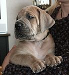 Eicko van Kiritanaka