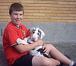 Yinx Bohemia Abrus - 10 Wochen/weeks/Weken