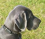 Heavenly (Gucci) van Kiritanaka