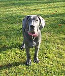 Heavenly (Gucci) van Kiritanaka