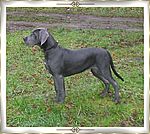 Heavenly (Gucci) van Kiritanaka