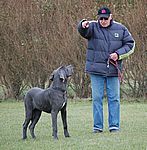 Hobbit van Kiritanaka