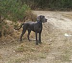 Heavenly (Gucci) van Kiritanaka