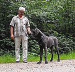 Haldir-Blue von Saxenheim Sensation