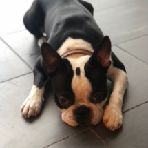 21.02.2022-Hugo-3